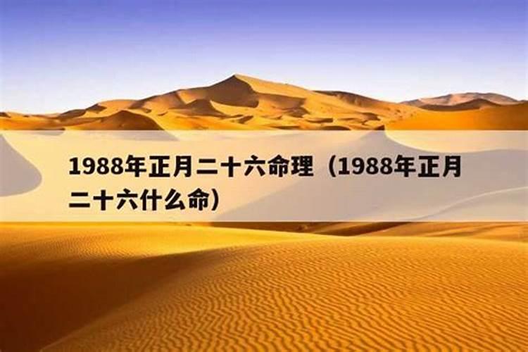 1988正月初一命运