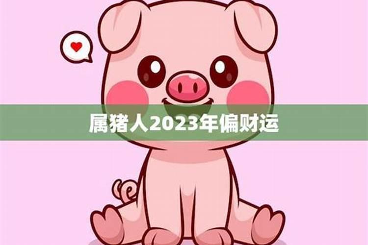 属狗猪人2023年运势