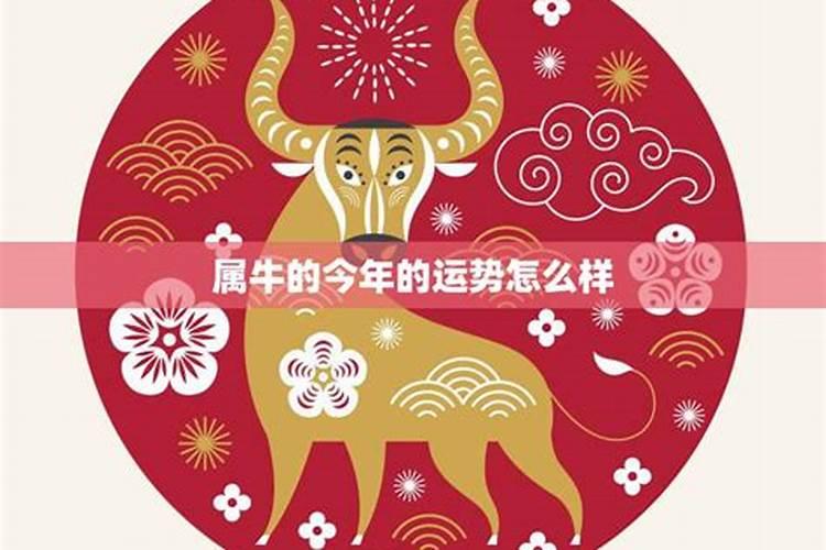 九七年属牛今年财运怎么样