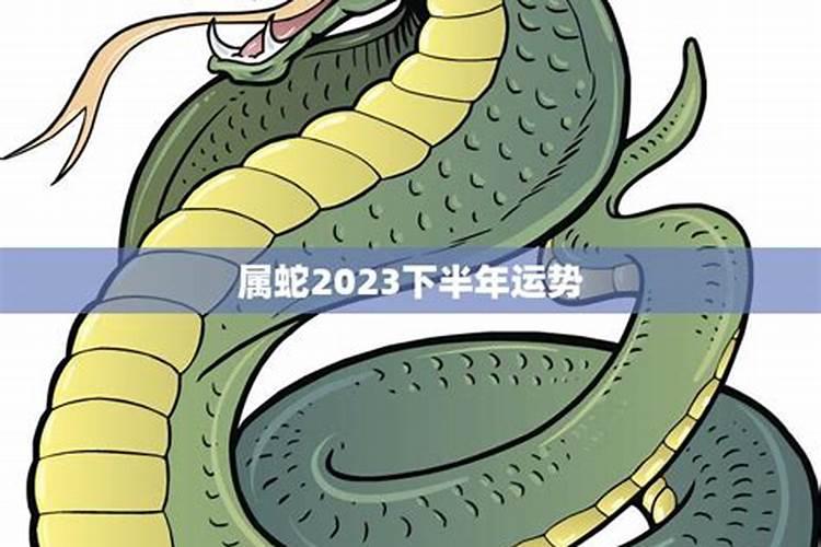 属蛇下半年运势如何2021