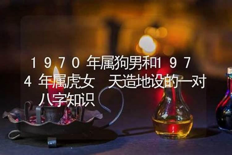 74年属狗的运势如何