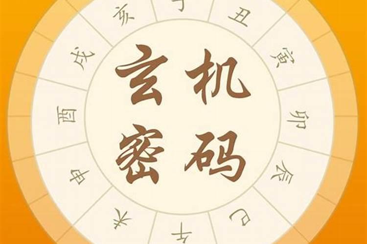 八字命盘解析免费