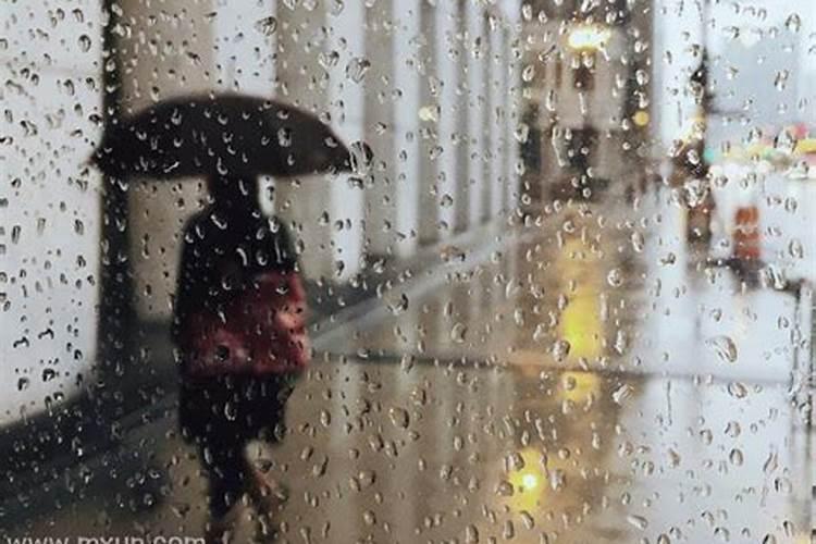 孕妇梦见下雨被雨淋在雨中跑来跑去