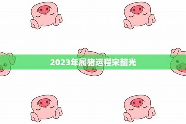 2023年属猪的什么运程