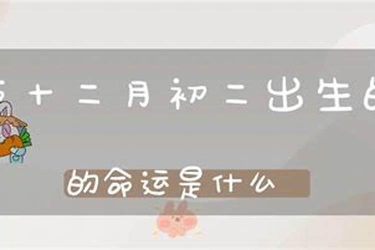 梦见数字865什么意思