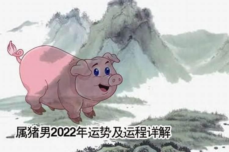 1973年2022的财运