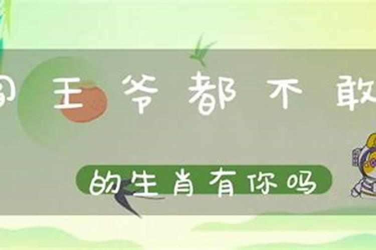 牛和鼠八字合不合