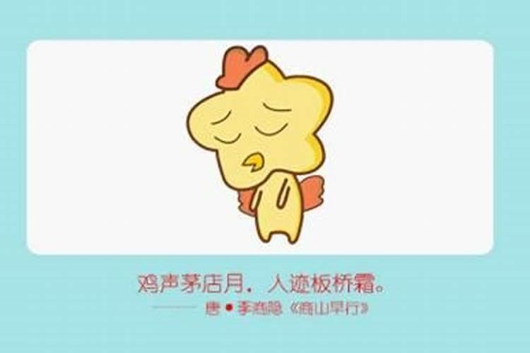 鸡和狗八字合不合适