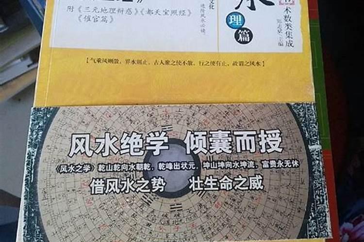 请问属鼠2023年的运程如何