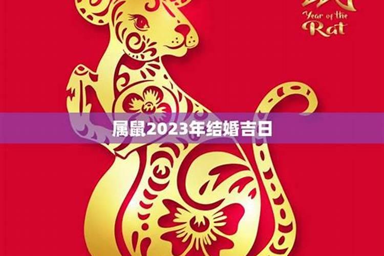 96男鼠和96女鼠结婚吉日2023