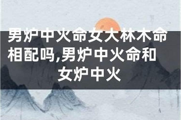 梦见牛追着顶我屁股啥意思