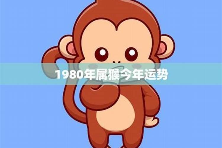 1980属猴的运势