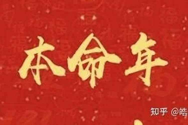 11月14日出生的人的幸运数字是什么生肖