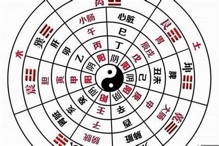 自己怎么测八字阴阳属性