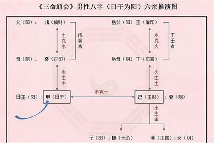 梦见藤上结好多冬瓜