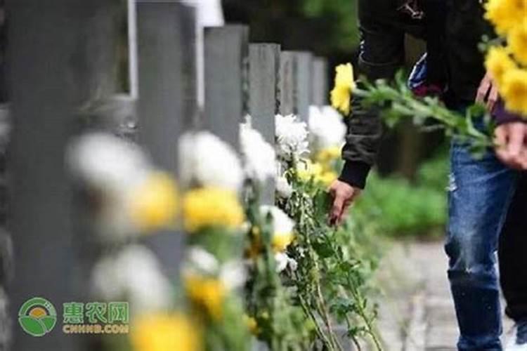 清明节祭扫那天好