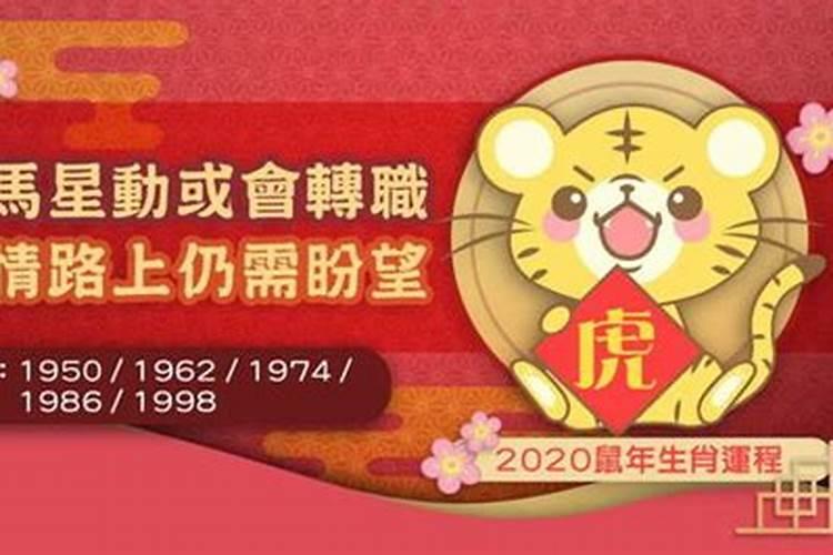 属猪2023年正月运势如何看