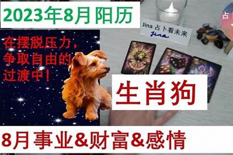 属狗阳历八月运势如何呢