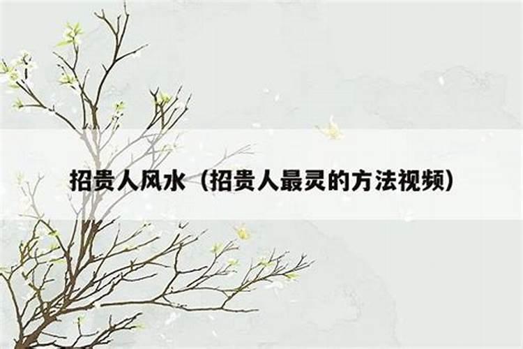 命理是什么