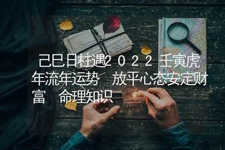 八字2023年运势已已日主