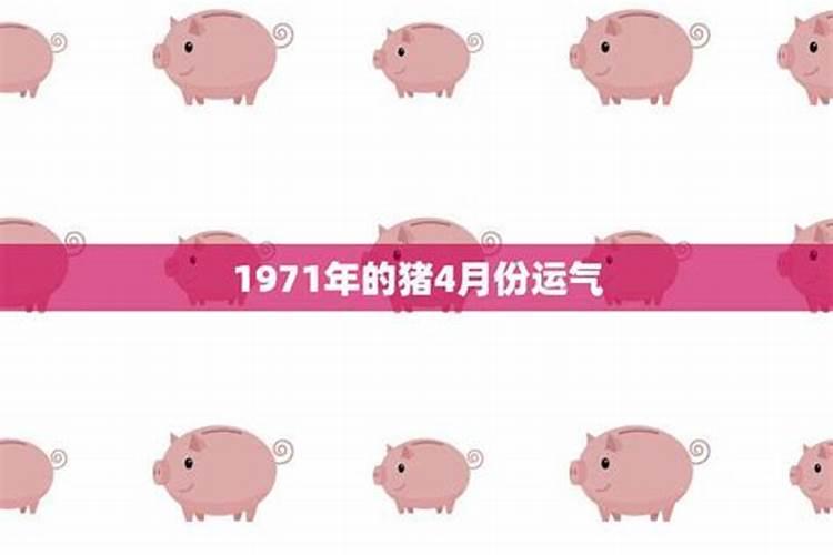 1971年4月份属猪的是什么命