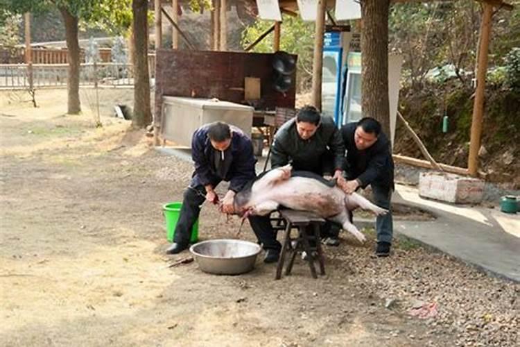 梦到自己从楼上掉下去