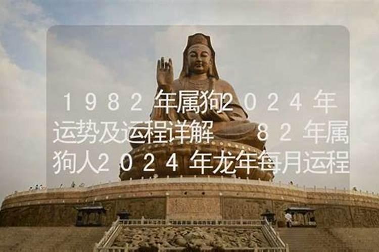 2024年生肖狗1982运势大全