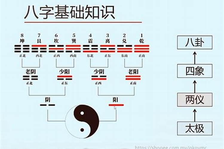 冬至节气哪天