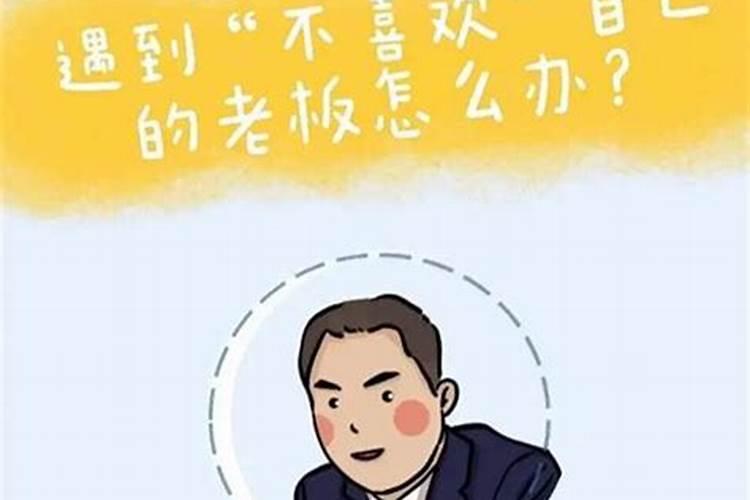 梦见别人家老板不喜欢我