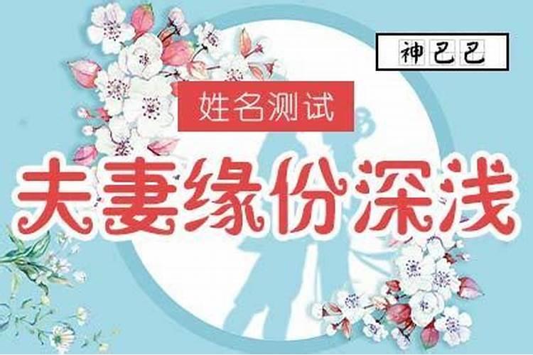 2023年属鼠人下半年运势大全