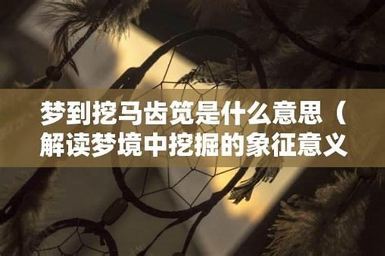 孕妇做梦梦到老鼠是什么意思啊解梦女性