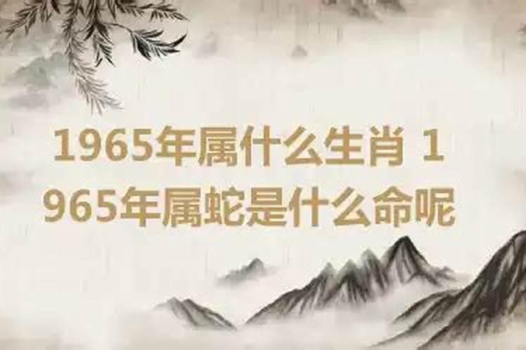 1965属相是什么生肖呢