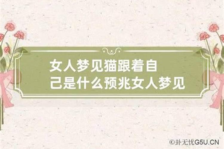 梦见被一个女人跟踪什么意思周公解梦