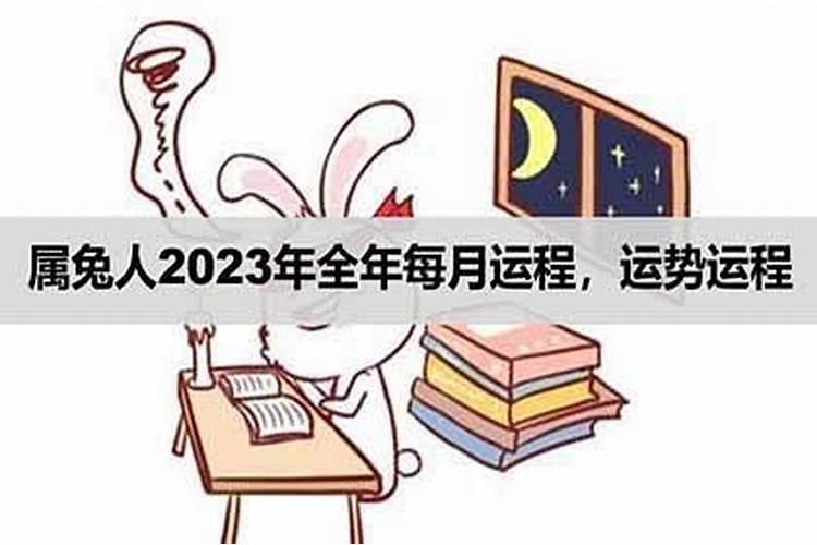 农历十月的属兔人2023年运程如何