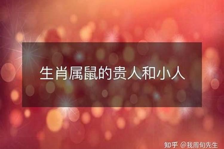 属鼠人的小人是什么属相