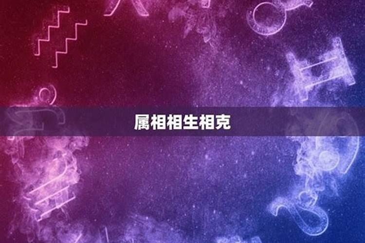 属蛇属鼠相合不合婚配