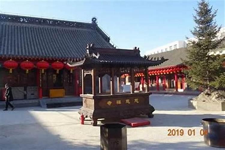 属羊2023年下半年健康运势如何