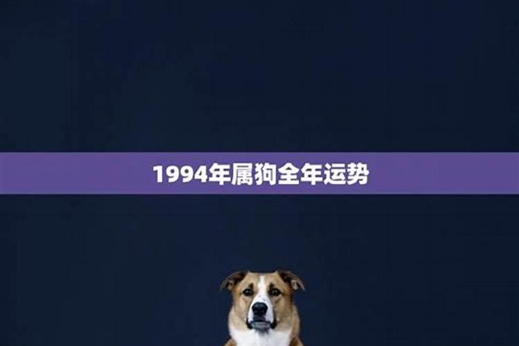 1994属狗全年运势如何