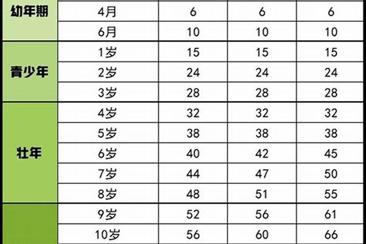 属狗年龄对照表