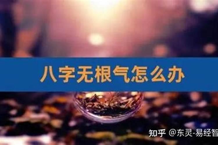 八字没有根怎么解释