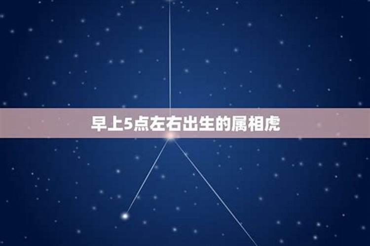 正月十五出生的属相是什么