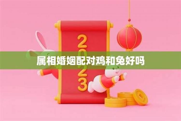 老公事业总是不顺利怎么化解他