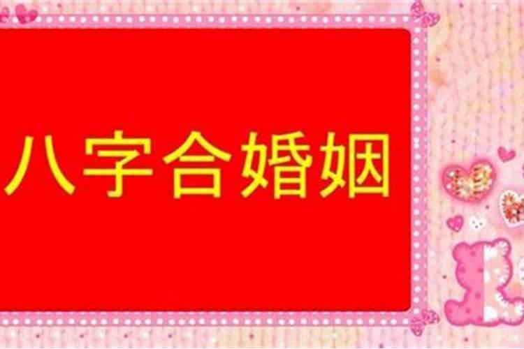 最准的八字合婚属相