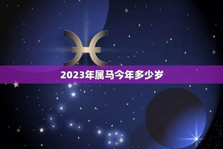 属马今年的运势2022