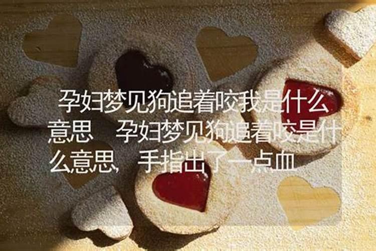 梦见狗狗追着舔我什么意思