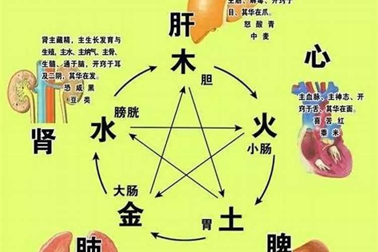 五行疾病与脏腑