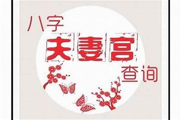 今年属马的11月份运势2023年怎么样