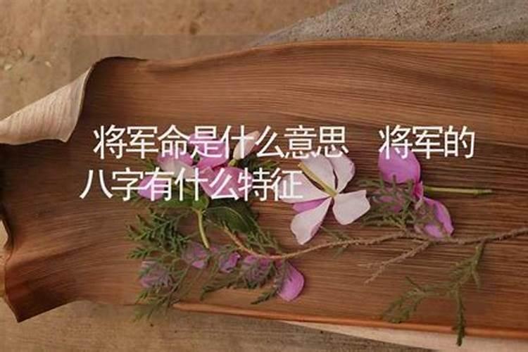 将军命的八字特征