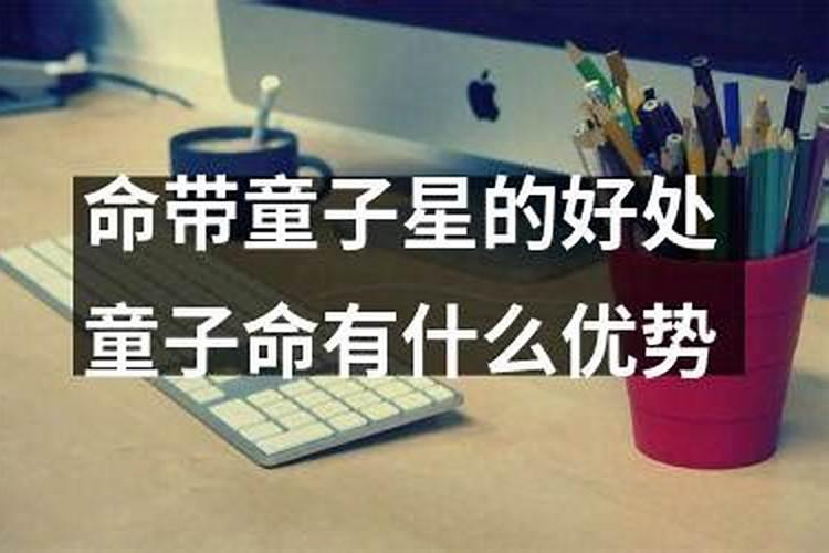 生肖鸡遇兔年是六冲之年犯太岁流血后破解了吗