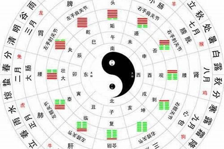 怎么查看四柱五行属性